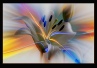 Marthie Bredenkamp (Photography Webpage)